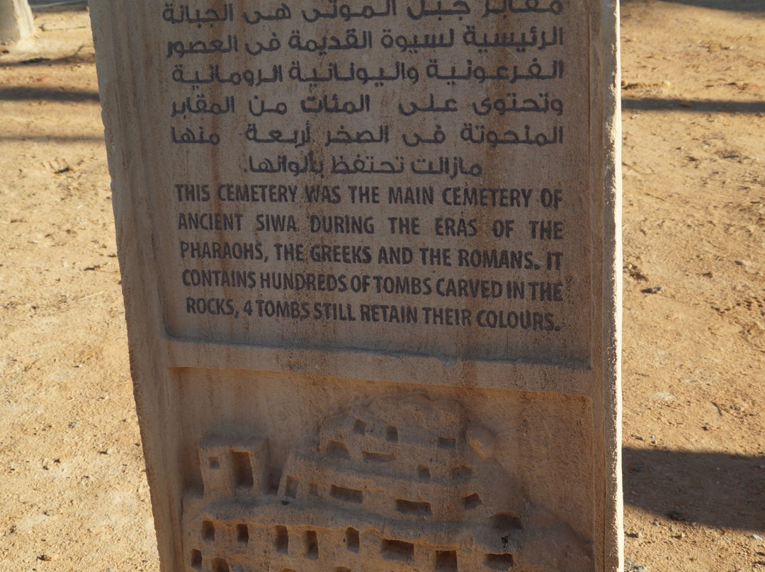 Graeco-Roman Tombs-西瓦必去景点