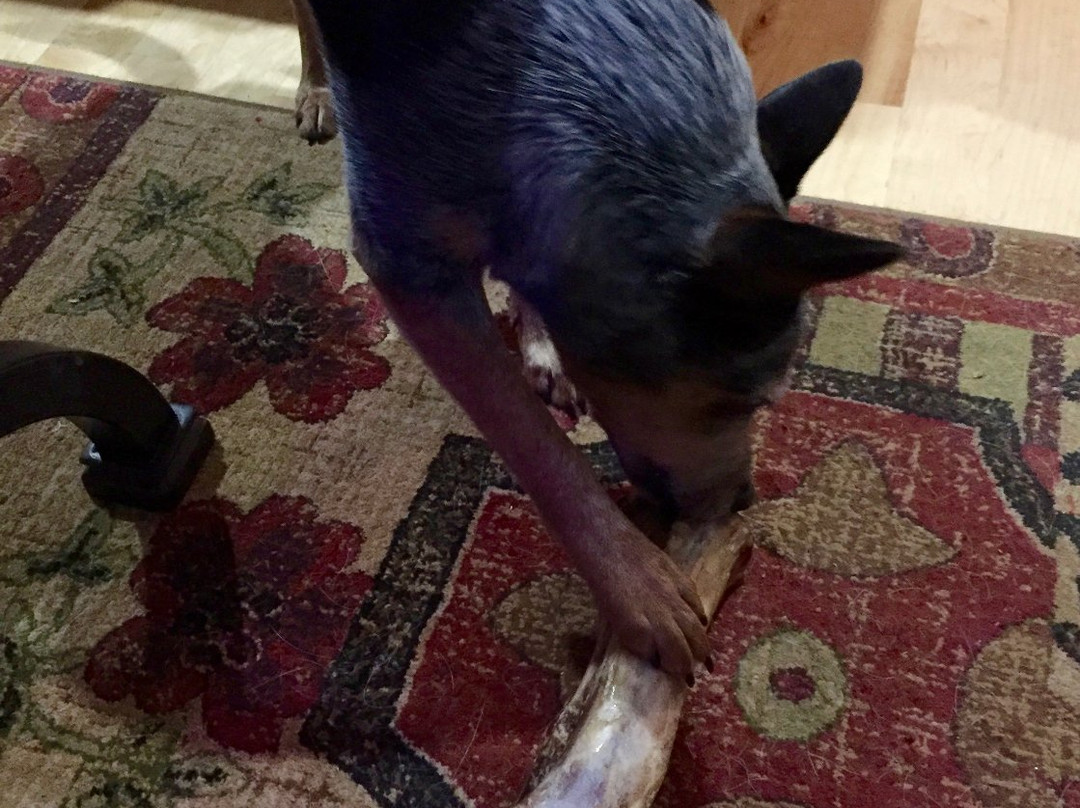 Three Dog Bakery-阿什维尔必去景点