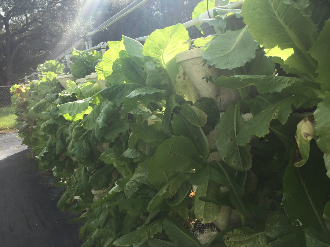 Hydro Harvest Farms-Ruskin必去景点