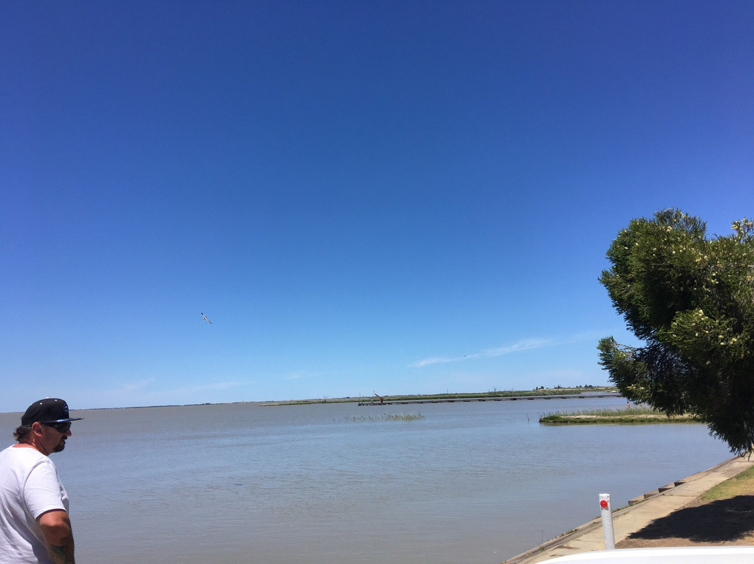Lake Alexandrina-Milang必去景点