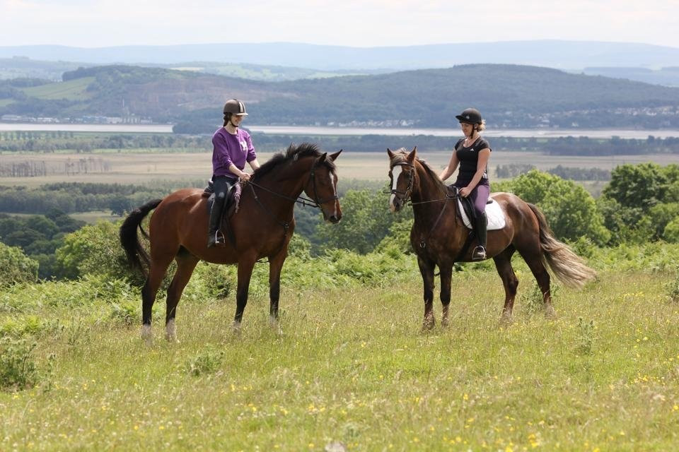 Witherslack Hall Equestrian Centre-Grange-over-Sands必去景点