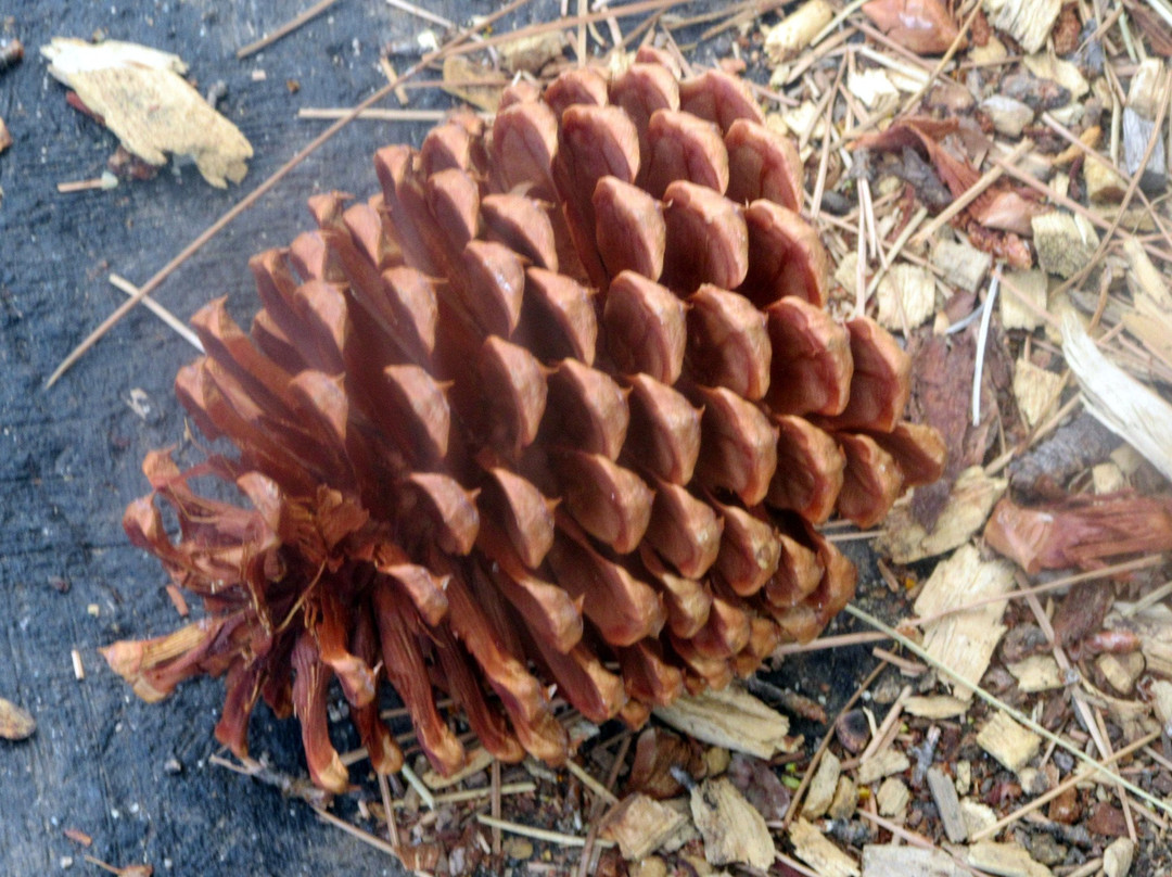 Kahle Park and Community Center-Stateline必去景点