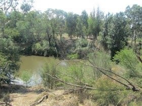 Candlebark park景点图片