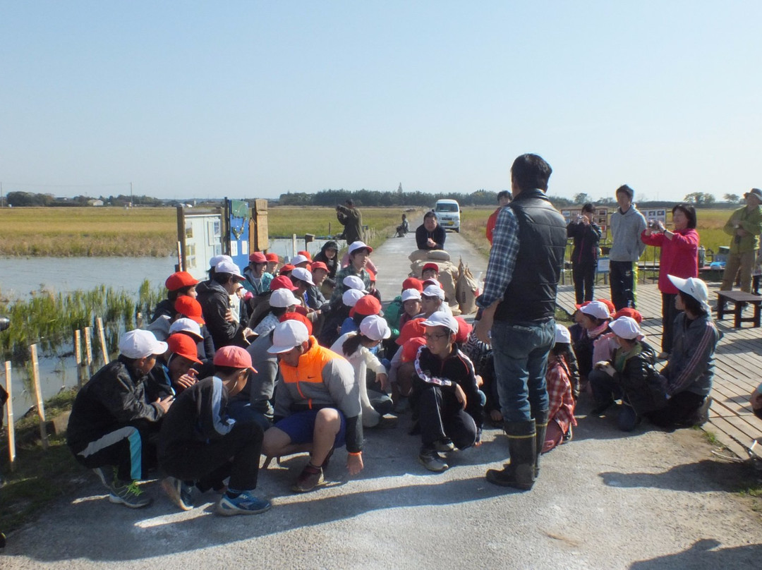 Hakuchonosato-印西市必去景点