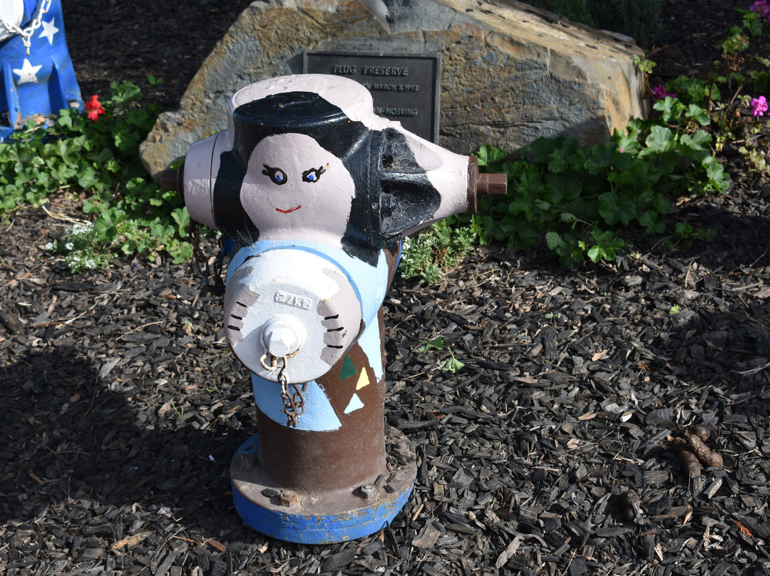 Fire Hydrant Plug Preserve-布里斯班必去景点