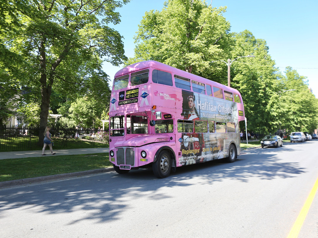 Gray Line Halifax-哈利法克斯必去景点