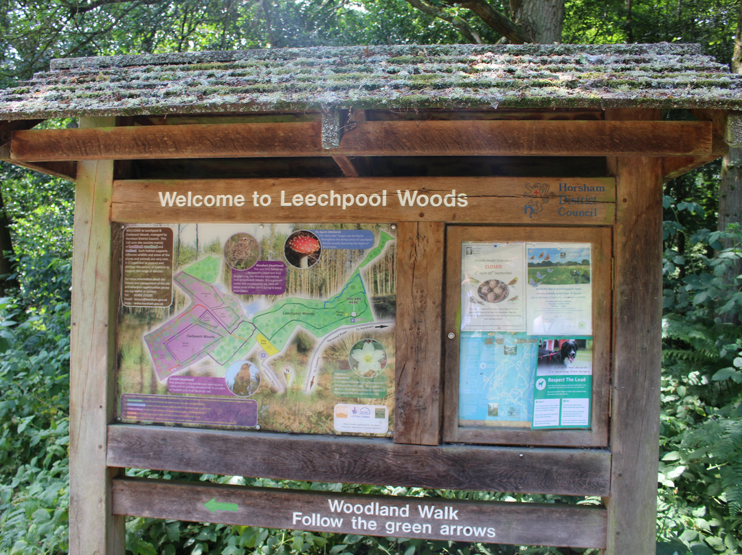 Leechpool and Owlbeech Woods景点图片