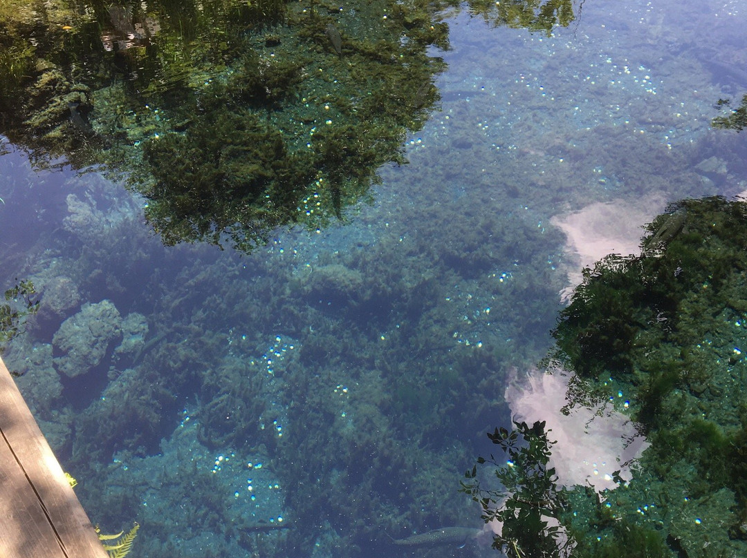 Lake Oshino主图