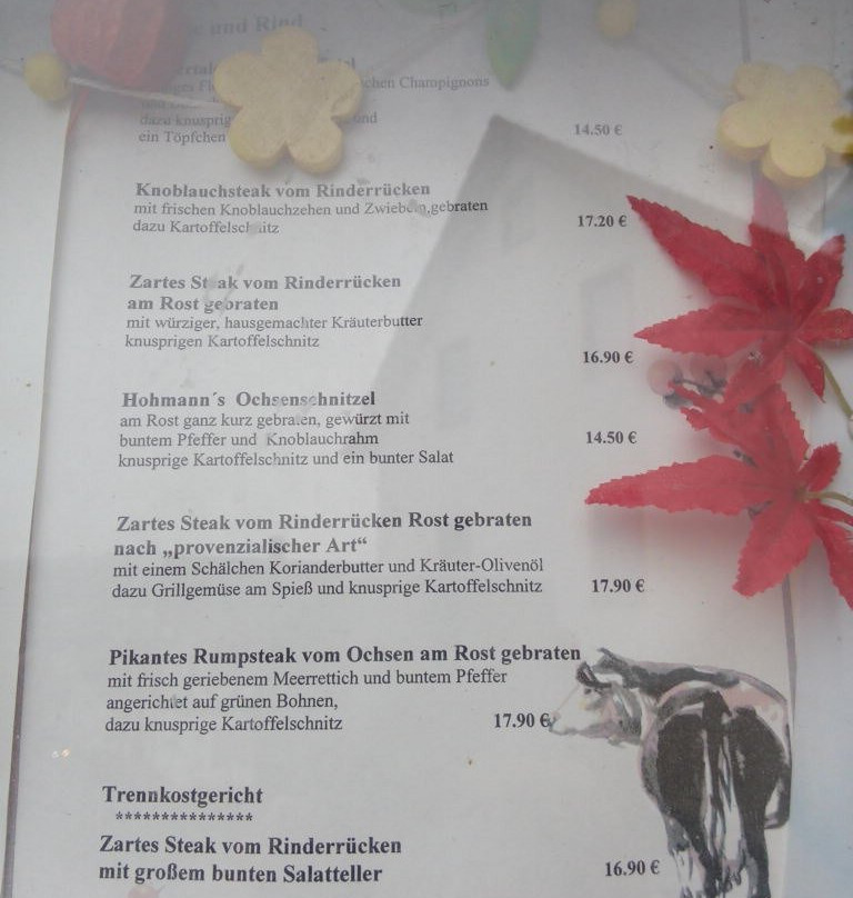 Landhotel Gasthof Hohmann主图