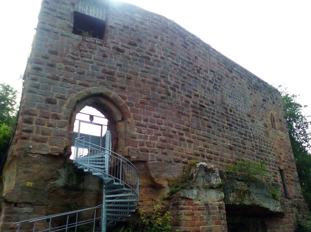 Burg Wilenstein-Flörsheim景点图片
