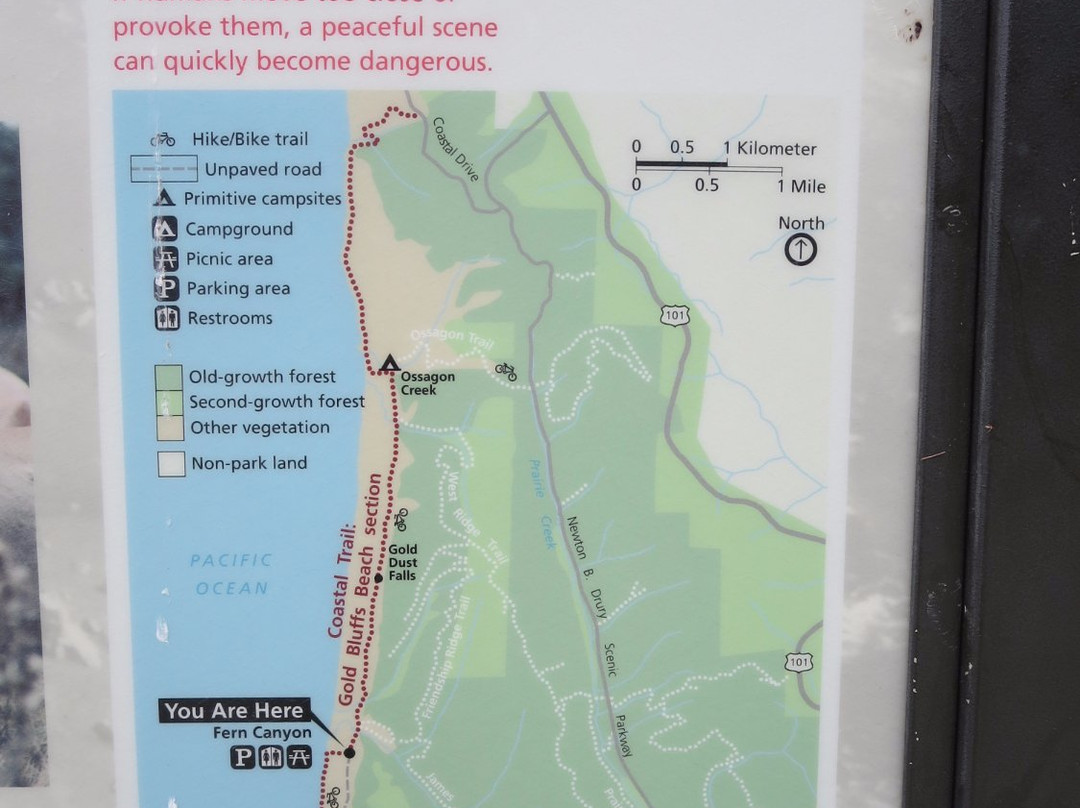 Oregon Redwood Trail-布鲁金斯必去景点