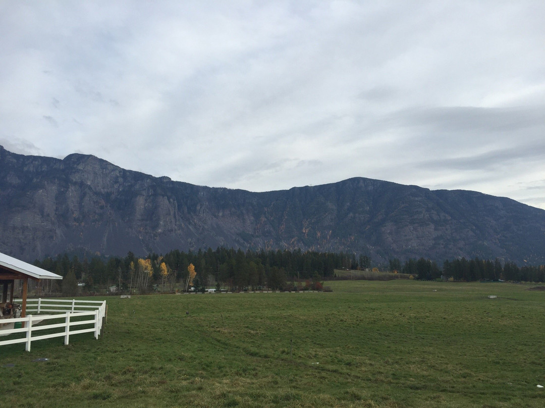 Kootenay Alpine Cheese Co.景点图片