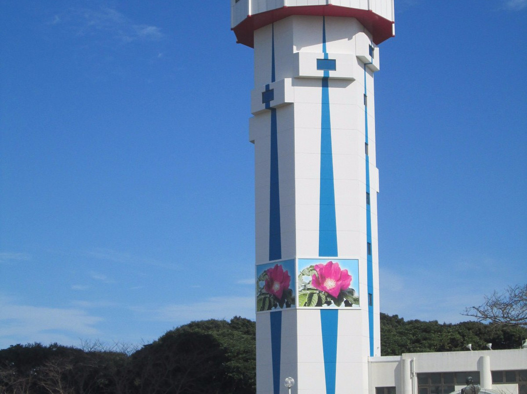 Ono Shiosai Hamanasu Park-鹿岛市必去景点