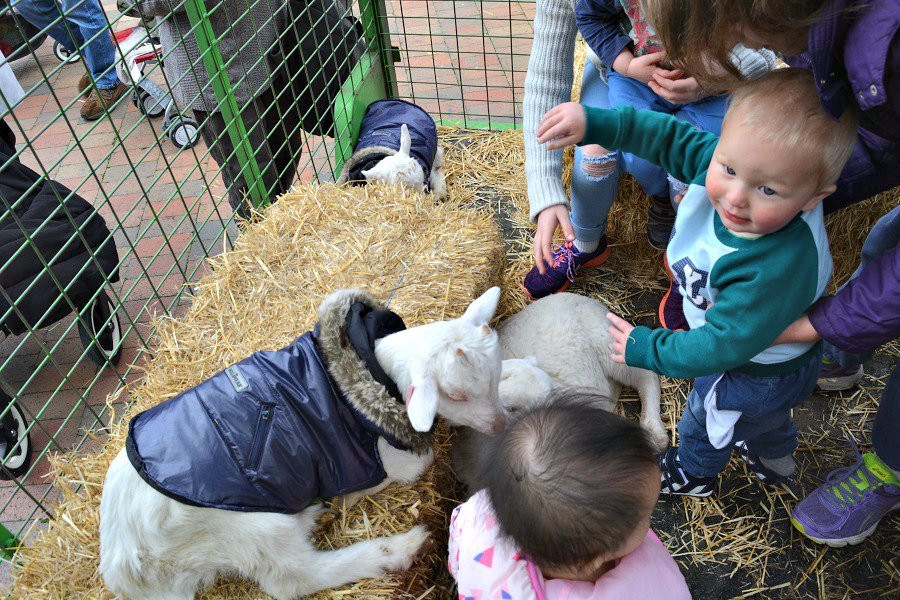 Bridge Mall Farmers Market-巴拉瑞特必去景点