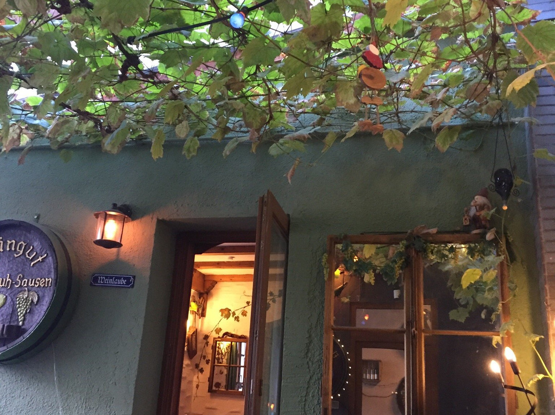 Reil酒店住宿-Weingut Schuh-Sausen