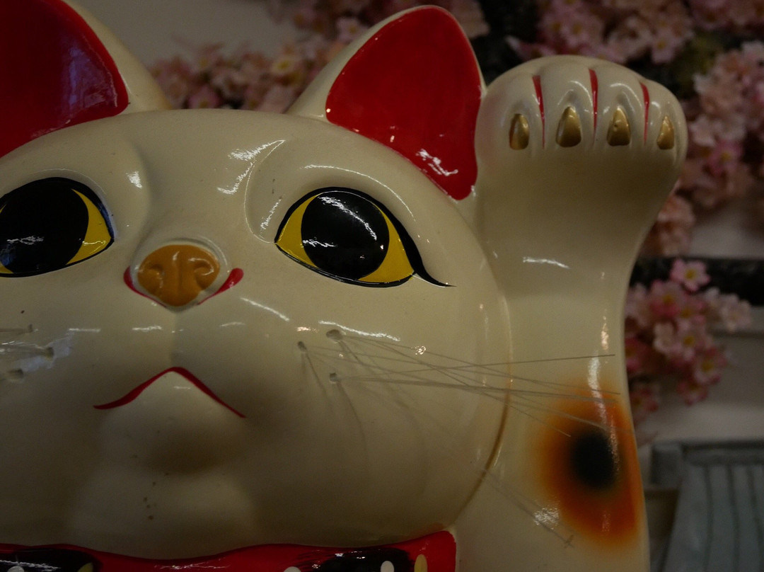 Lucky Cat Museum-辛辛那提必去景点