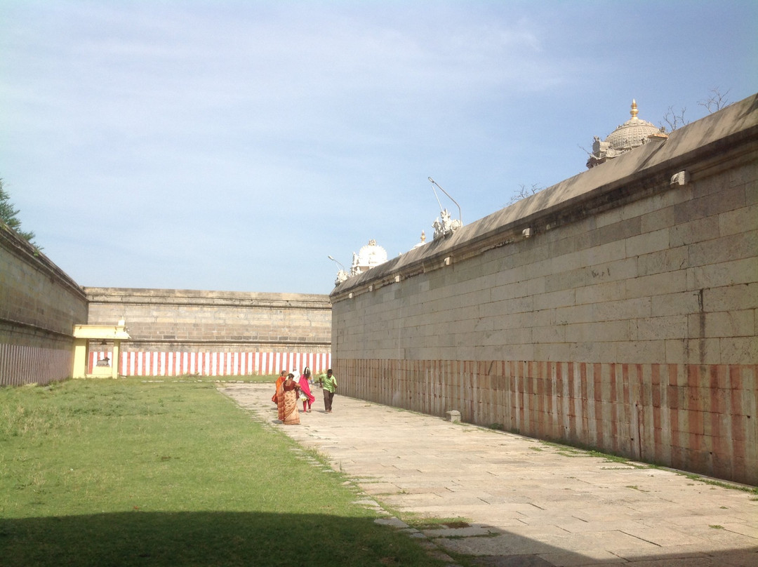 Sri Vadaranyeswarar Temple景点图片