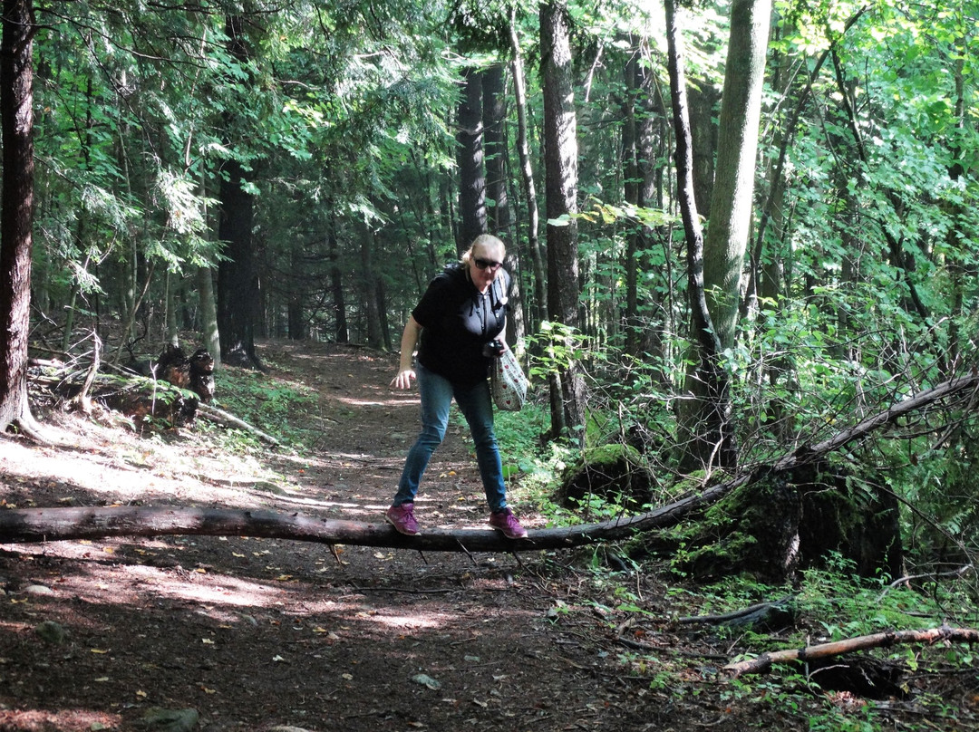 Robert Edmondson Conservation Area-Milton必去景点