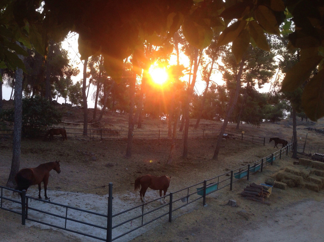 Dalton酒店住宿-The Pinecone Ranch