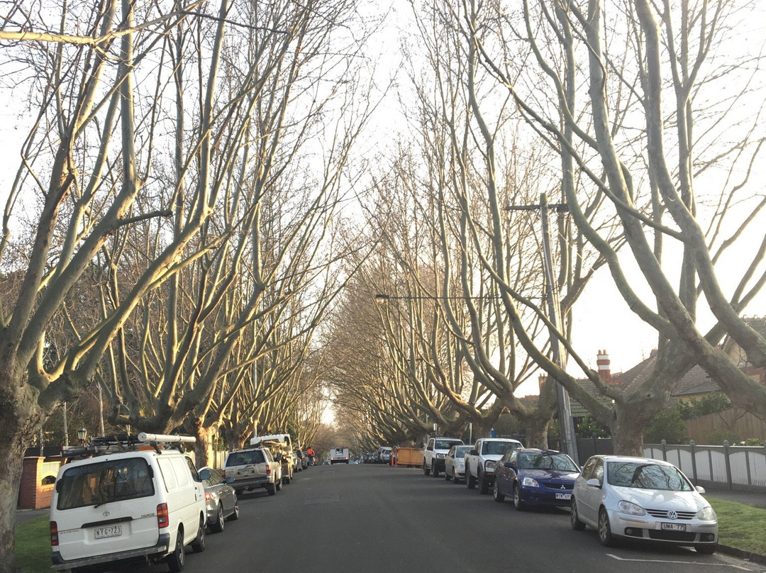 St John's Anglican Church, Malvern East-Malvern必去景点