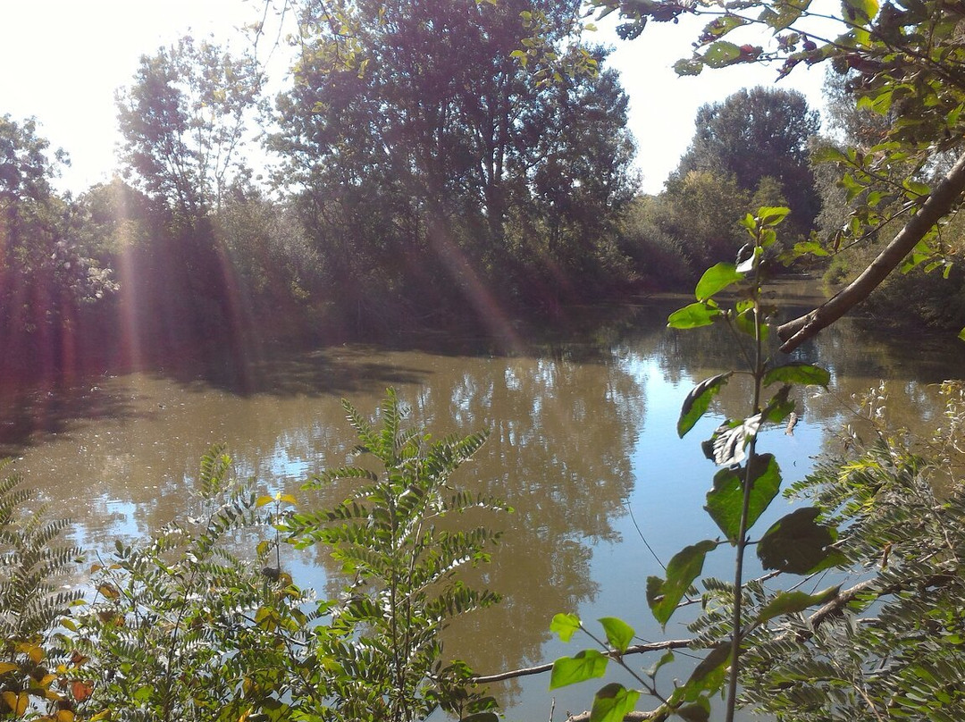 Riserva naturale orientata Parma Morta-Mezzani必去景点