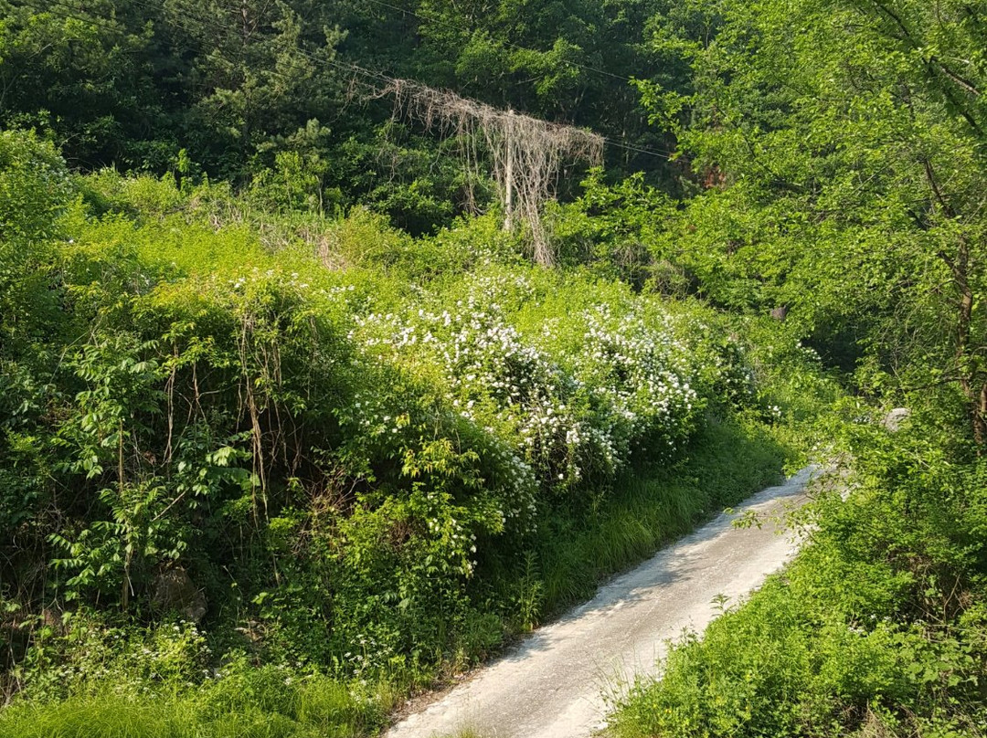Gwanchang Fall-奉化郡必去景点