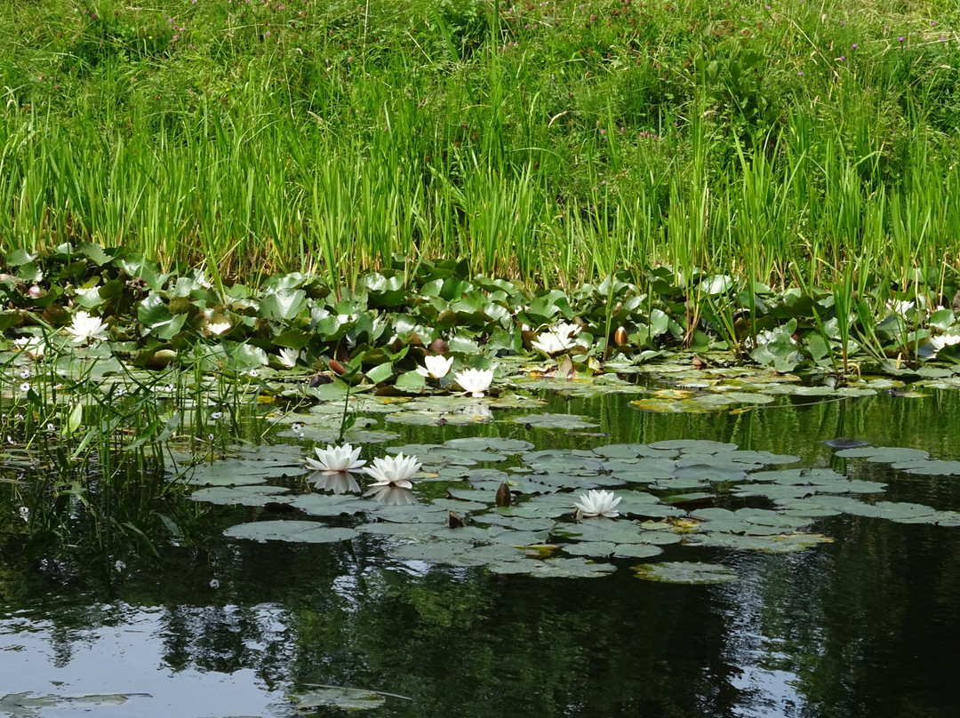 Vogelreservaat Polder IJdoorn景点图片
