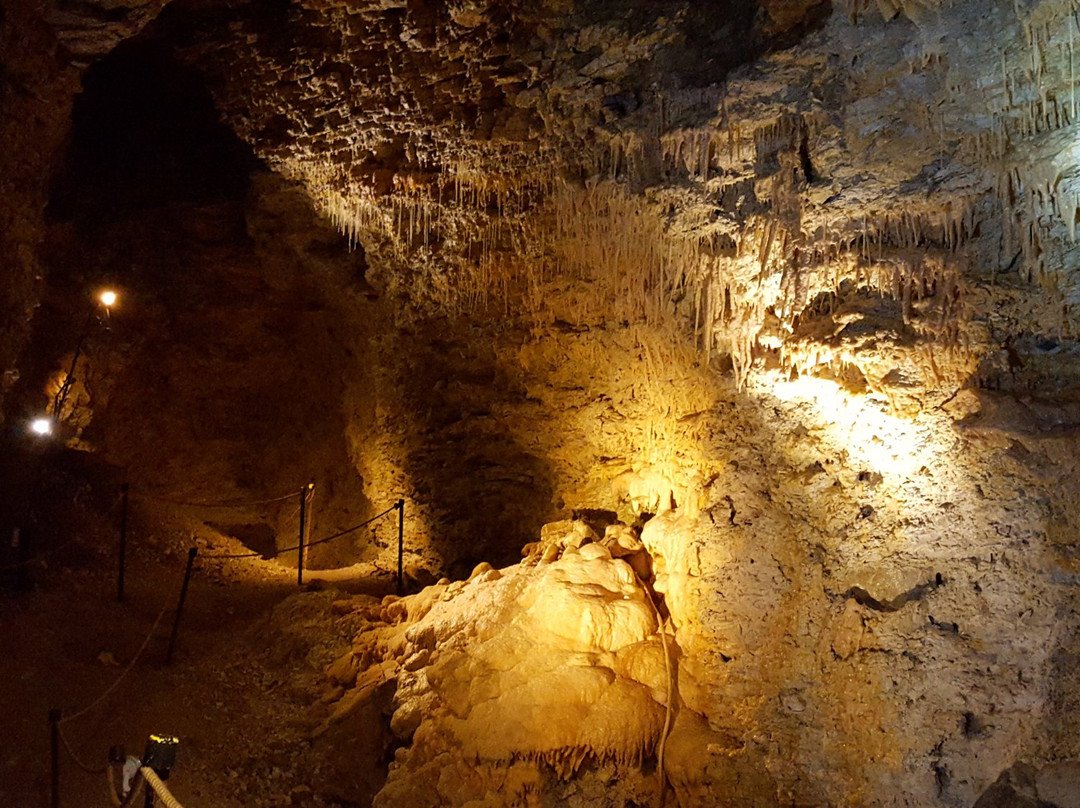 Maori Leap Cave景点图片