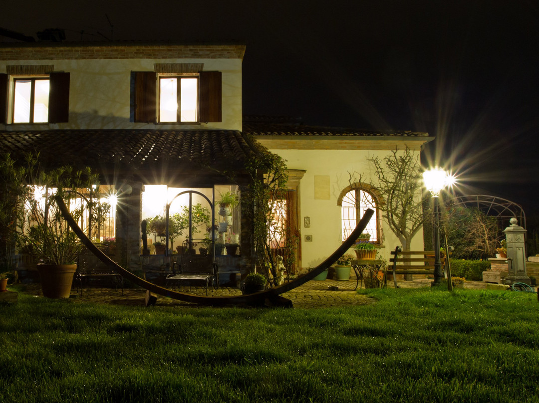 Cascina Vecchia Alpacas主图