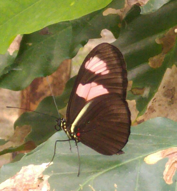 Zhaveta Yard-拉梅尔塞必去景点