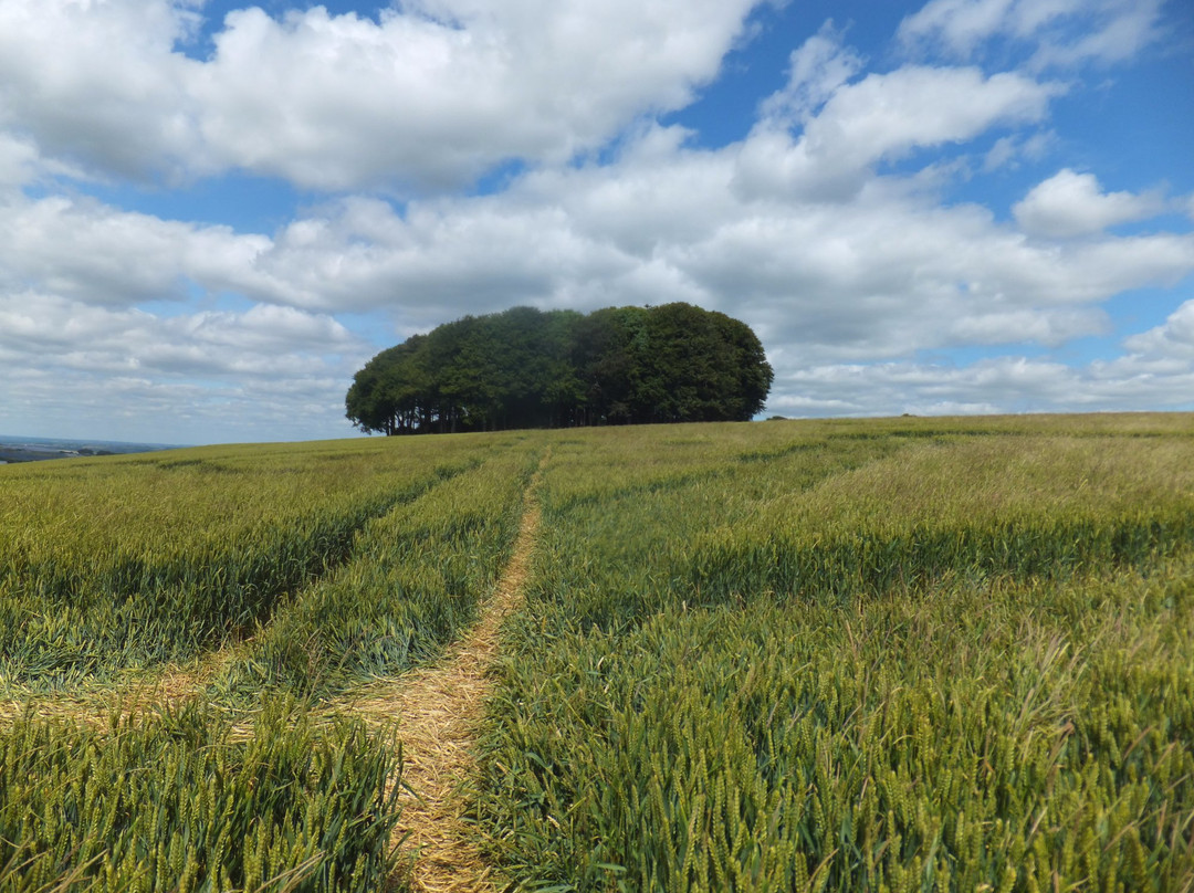 The Ridgeway National Trail-Wiltshire必去景点