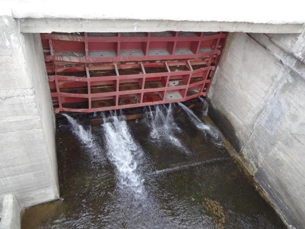 Dam at Revda Pond景点图片