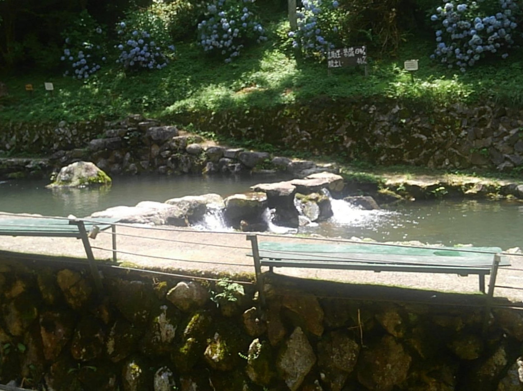 Chihayagawa Masu Fishing Area-千早赤阪村必去景点