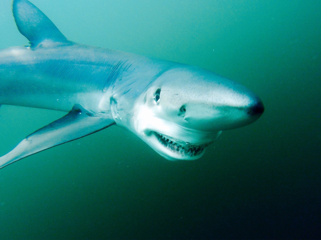 Gin Beach-蒙托克必去景点