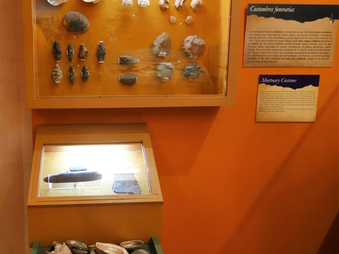 Museo de Historia de Ensenada景点图片