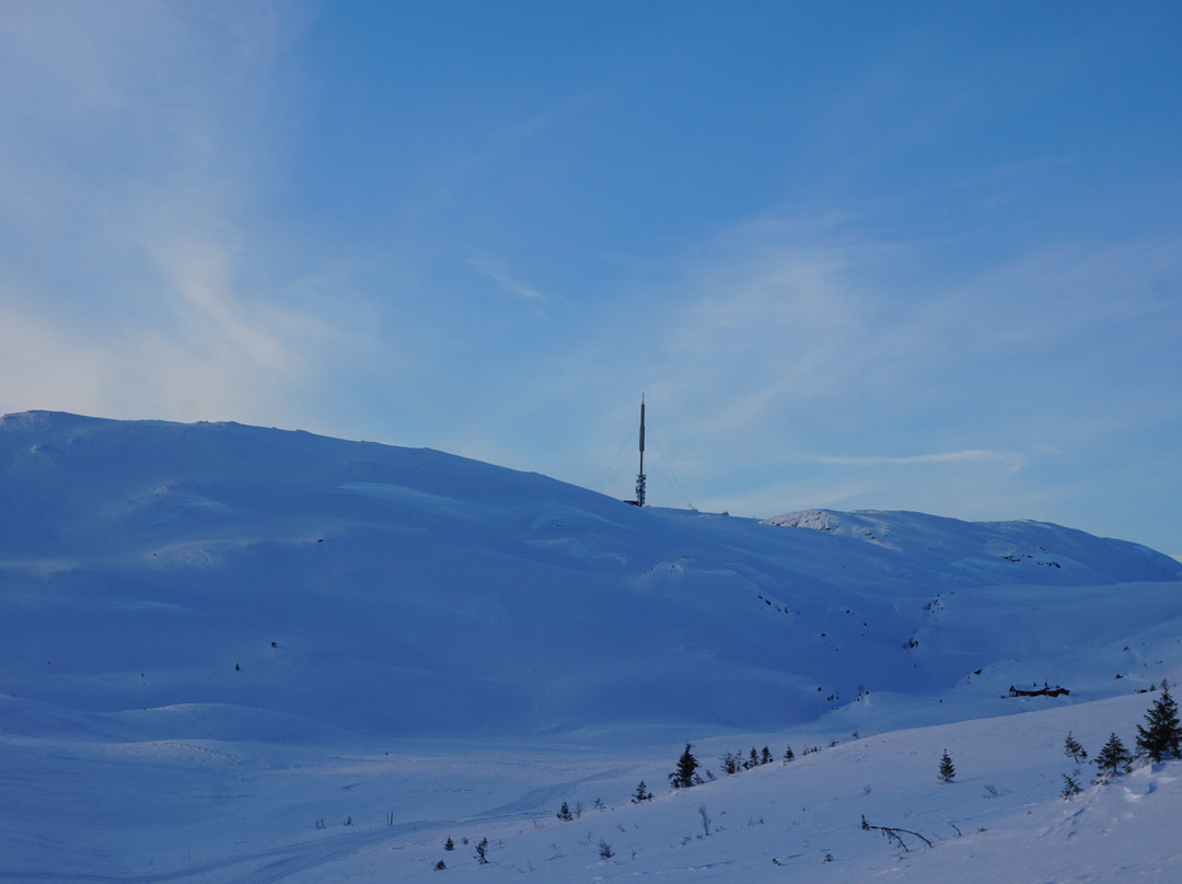 Grong Fritid and Tourist Information-Medja必去景点