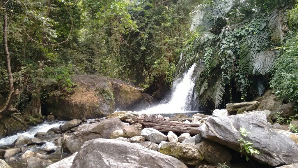 Meenvallam Water Falls景点图片