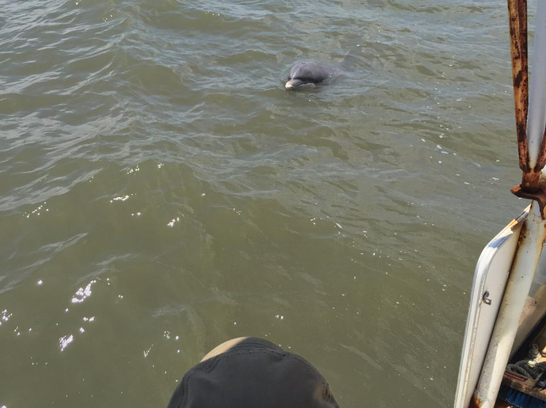 Edisto Shrimp Boat Charters-埃迪斯托艾兰必去景点