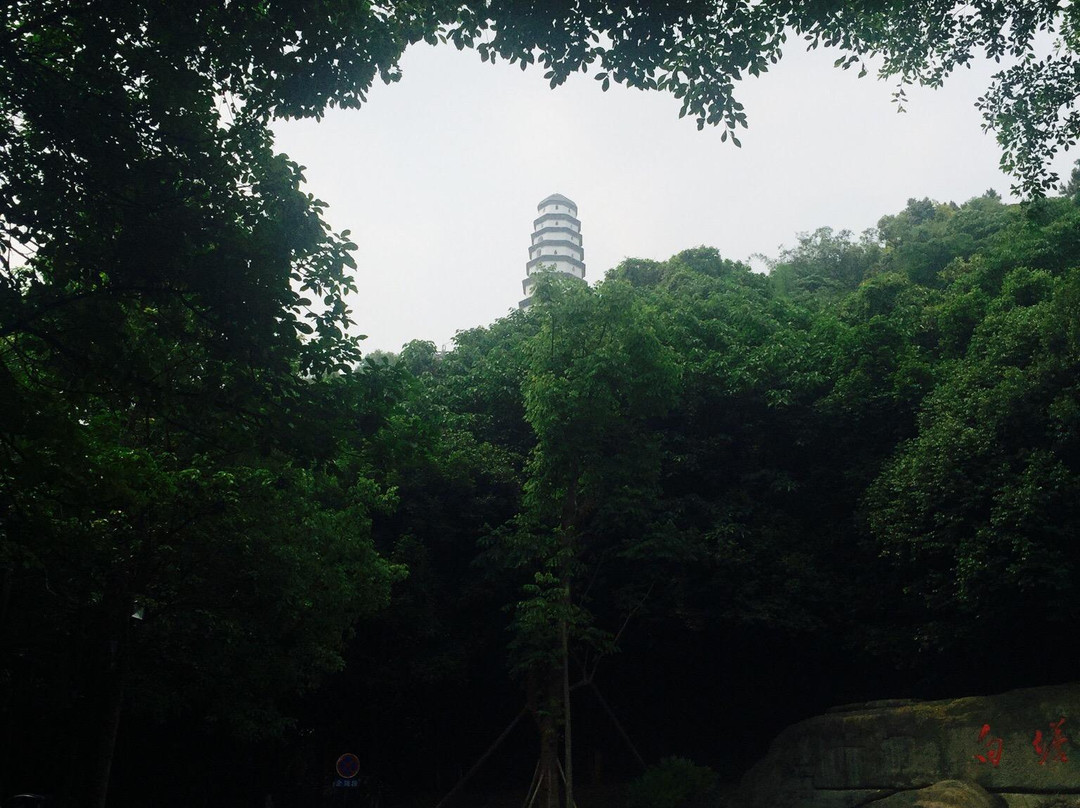 宜宾白塔山景区-宜宾市必去景点