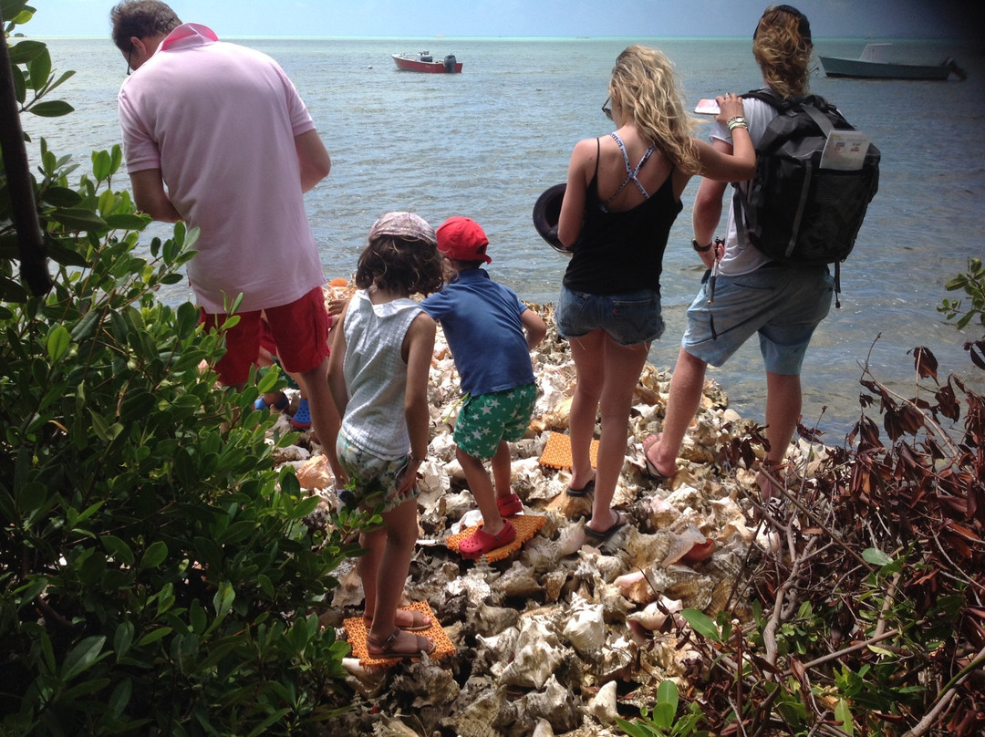 Scoothtooth Eco-Tours and Rentals-Anegada必去景点