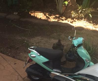 808 Rides-拉海纳必去景点