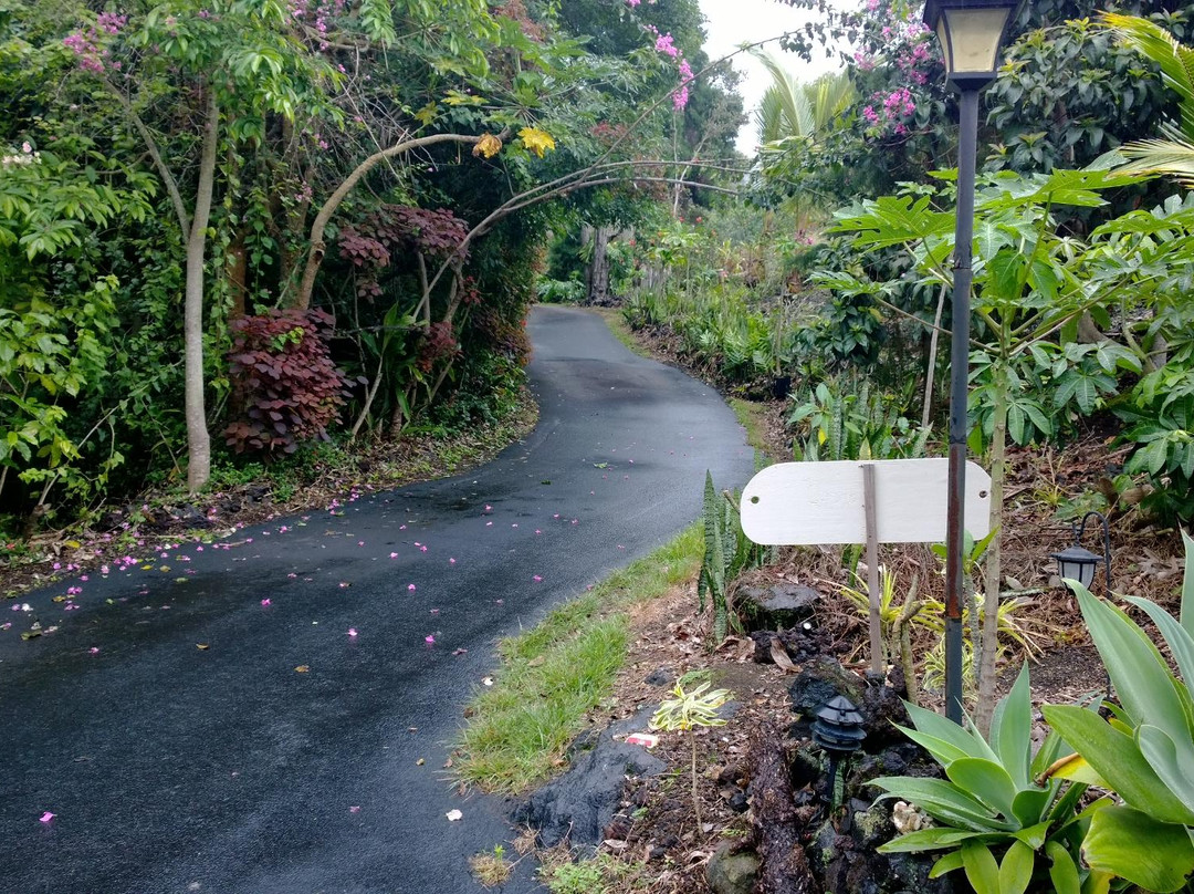 纳勒胡酒店住宿-South Kona Coffee Retreat