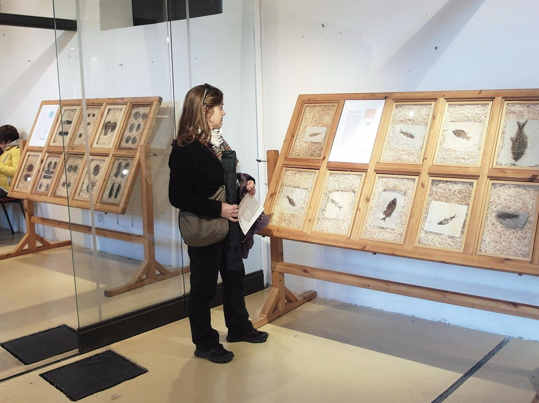 Museo Del Fiume景点图片