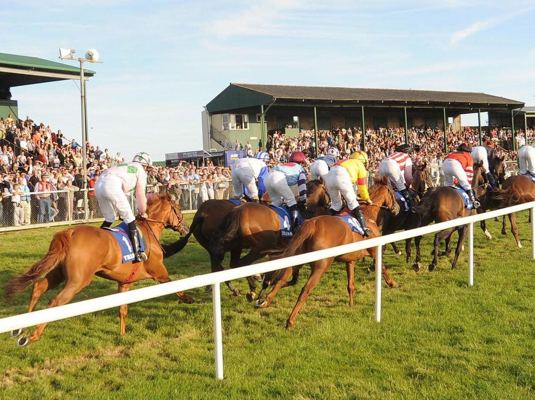 Waterford & Tramore Racecourse-特拉莫尔必去景点