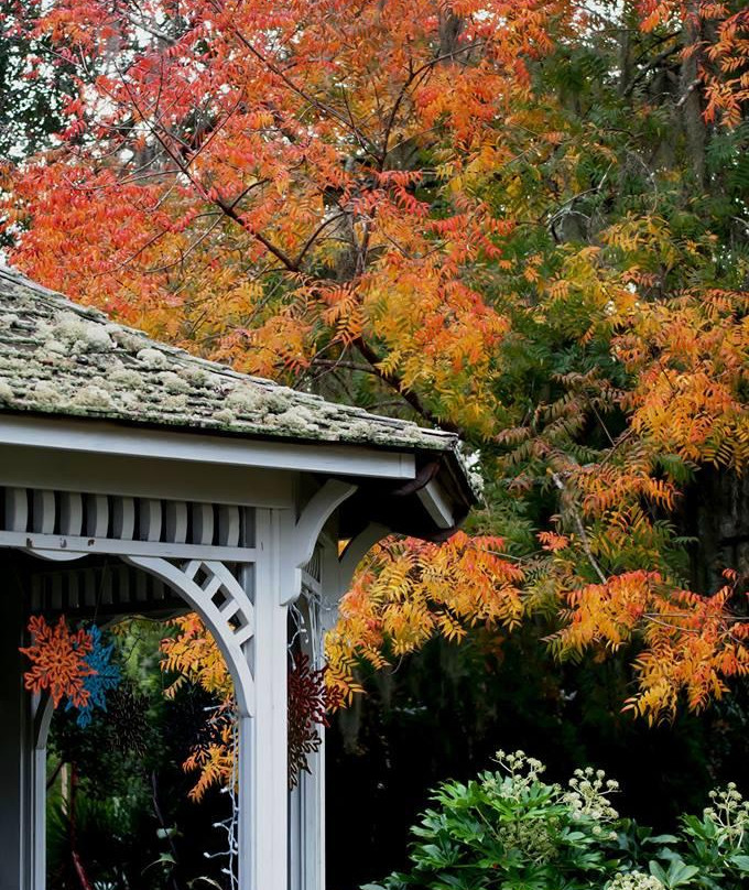 Coastal Georgia Botanical Gardens-萨凡纳必去景点