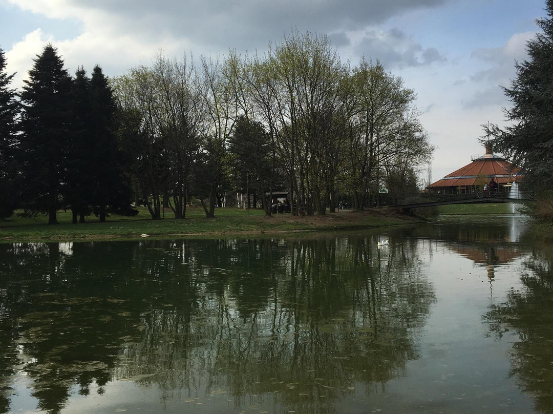 Parco Aldo Moro景点图片