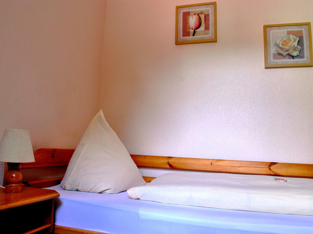 Hotel-Restaurant Brunnenhof主图