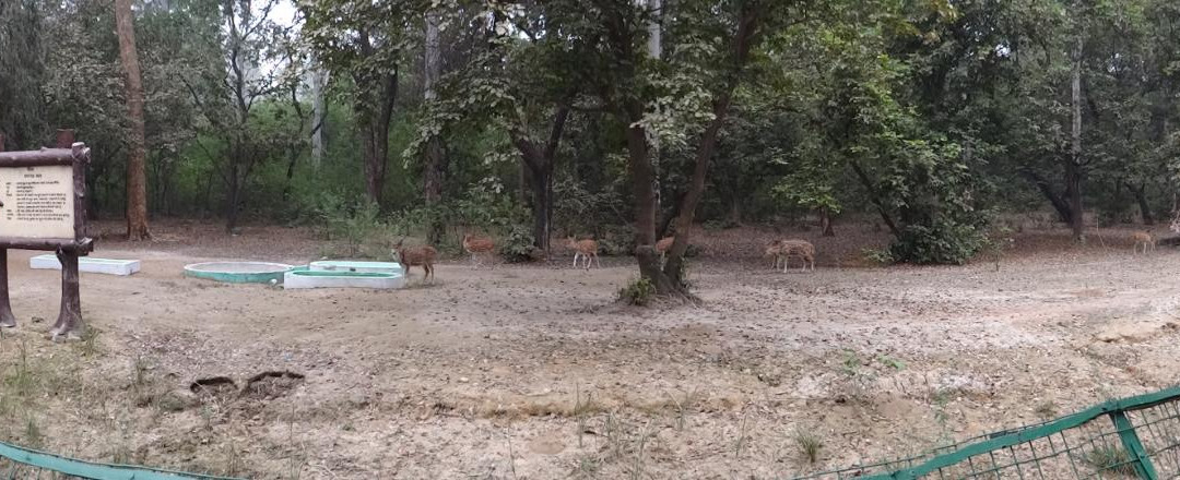 Nawabganj Wildlife Sanctuary-拉克瑙必去景点