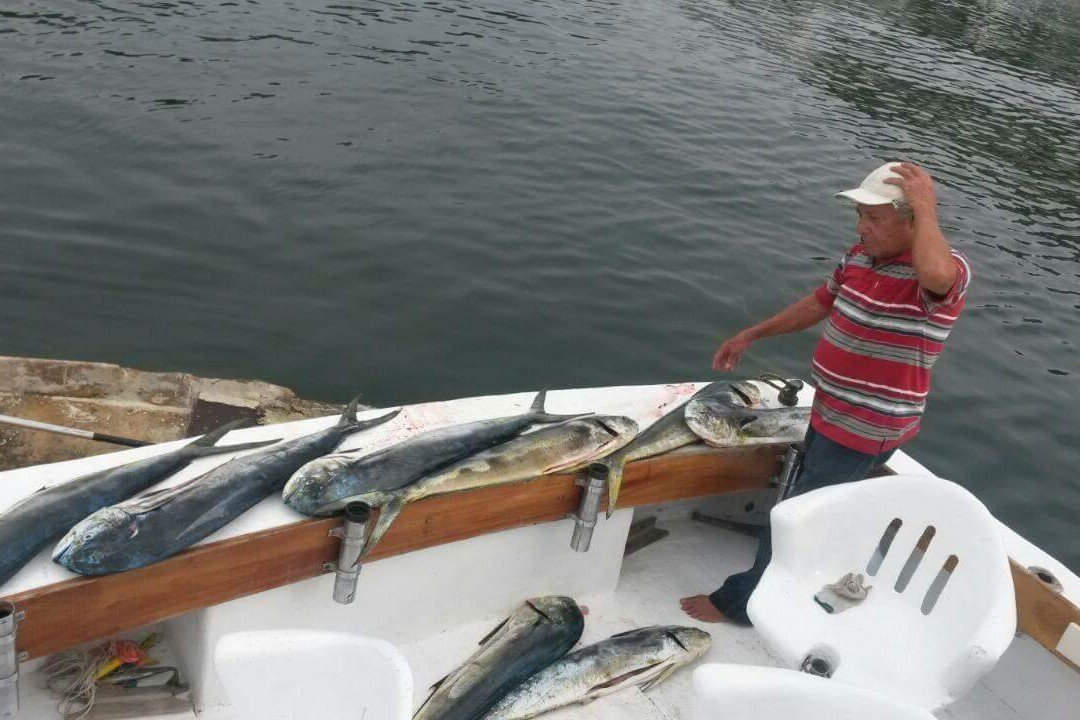 Renta de Lanchas-曼萨尼约必去景点