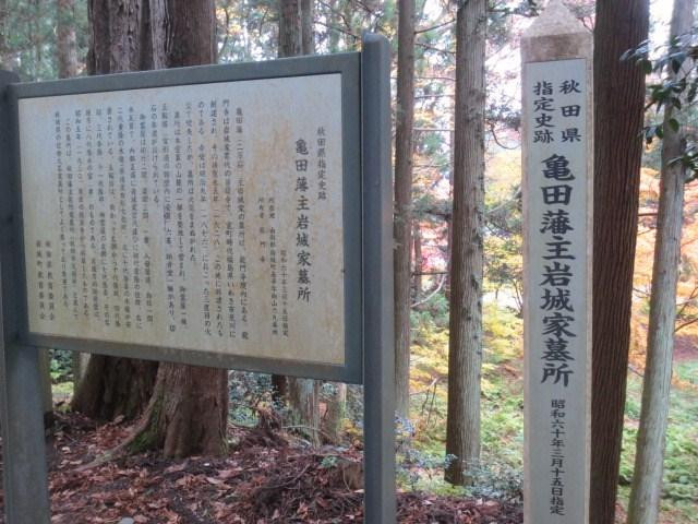 Paradise Park-由利本庄市必去景点